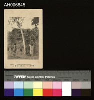 蕃童弓術明信片 (大正年)藏品圖，第1張